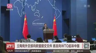 芬兰队在对立陶宛比赛中大获全胜